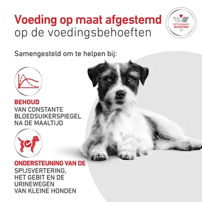 Voedingsadvies: Het behouden van een constante bloedsuikerspiegel na de maaltijd, ondersteuning van de spijsvertering, het gebit en de urinewegen bij kleine honden.