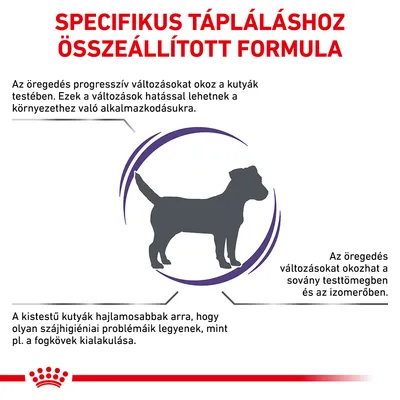 SPECIFIKUS TÁPLÁLÁSHOZ ÖSSZEÁLLÍTOTT FORMULA. Az öregedés változásokat okoz a kutyák testében, sovány testtömegben, izomerőben és szájhigiéniában. Kistestű kutyák hajlamosabbak problémákra.