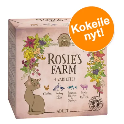 Rosie's Farm 4 Varieties kissanruoka, maut: Chicken, Turkey & Duck, Salmon Chicken & Shrimp, Lamb & Chicken. Teksti: Kokeile nyt! Grain Free Recipe. Adult.