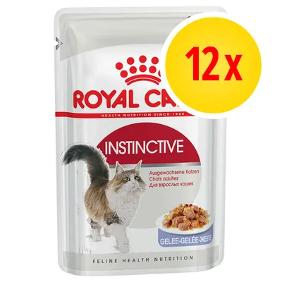 Royal Canin Instinctive, sachet pour chats adultes, gelée, lot de 12 x. Texte visible : GELEE-GELÉE-ЖЕЛЕ, Feline Health Nutrition. Image d’un chat et d’une assiette de nourriture.