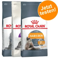 Royal Canin Probierpaket 3 x 400 g - Sensible 33 + Hair & Skin + Fit 32