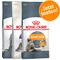 Royal Canin Probierpaket 3 x 400 g Sensible 33 + Hair & Skin + Fit 32