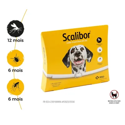 Scalibor Collier Grand Chien 65 cm, protection phlébotomes 12 mois, tiques 6 mois, moustiques 6 mois, ne pas utiliser chez le chat, MSD Santé Animale visible sur l’emballage.