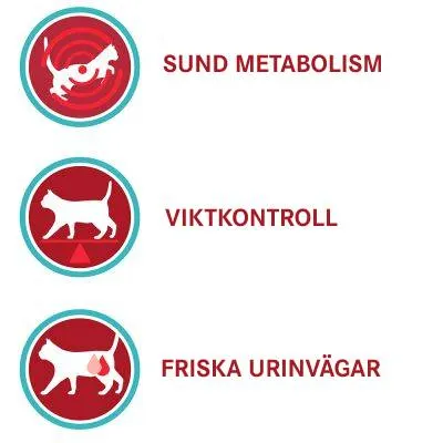 Tre ikoner med text: SUND METABOLISM, VIKTKONTROLL, FRISKA URINVÄGAR. Varje ikon visar en katt och symbol för respektive egenskap.