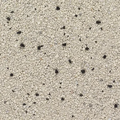 Close-up of white-beige cat litter with scattered black grains.