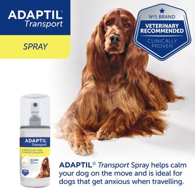 ADAPTIL Transport Spray bottle, text: 'Comforts your dog in stressful situations', '50 uses', 'Veterinary recommended', 'Clinically proven', image of long-haired dog beside product.