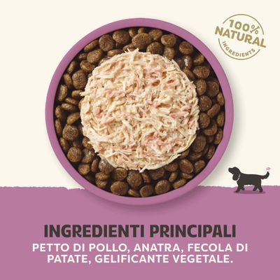 100% componenti naturali. Componenti principali: petto di pollo, anatra, amido di patata, gelificante vegetale.