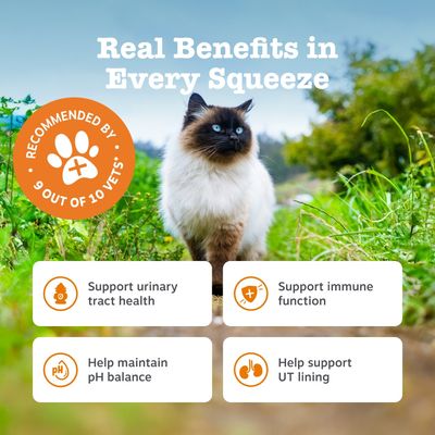 Zesty Paws Urinary & Renal Care Paste Urinary Health