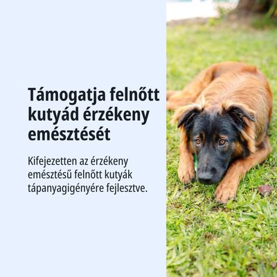 Támogatja a felnőtt kutyák érzékeny emésztését. Kifejezetten az érzékeny emésztésű kutyák tápanyagszükségletére fejlesztve.