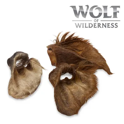 Oreilles de bœuf séchées avec poils, deux pièces visibles. Marque Wolf of Wilderness en haut à droite.