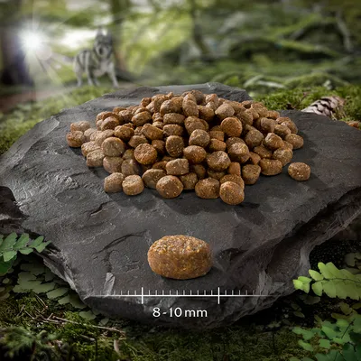 Croquettes rondes posées sur une pierre, une croquette mise en avant avec indication de taille : 8–10 mm.