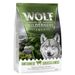Wolf of Wilderness pienso para perros - Formato de prueba Untamed Grasslands - 300 g (Elements, con caballo)