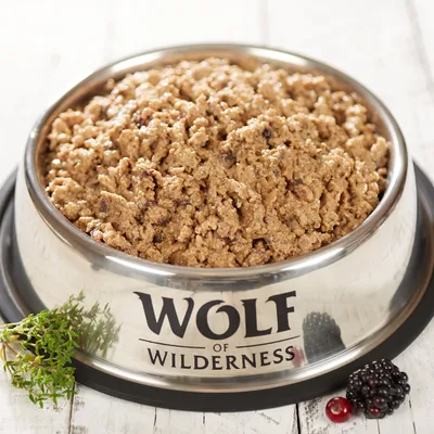 Hrană umedă într-un bol din oțel inoxidabil cu logo Wolf of Wilderness, decorată cu cimbru, mure și fructe roșii.
