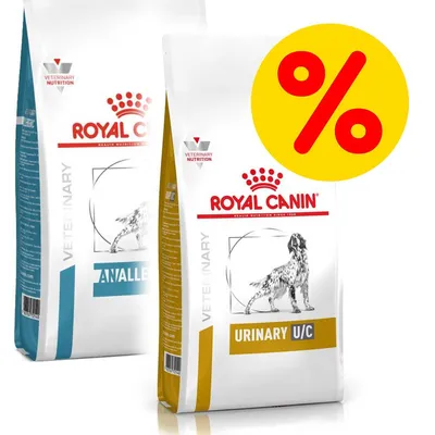 Due sacchi di cibo per cani Royal Canin Veterinary Nutrition: uno con etichetta 'URINARY U/C', l'altro 'ANALLERGENIC'. Simbolo percentuale rosso su sfondo giallo visibile.