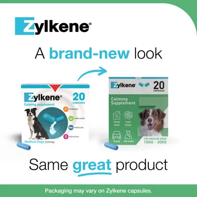 Zylkene Calming Supplement for Medium Dogs 10 - 30 kg - Saver Pack: 2 x 20 Capsules