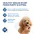 Instruktion: Applicera en liten mängd tandkräm på en lämplig borste, borsta hundens eller kattens tänder noggrant, sköljning är inte nödvändig. Plaqtiv+ oral care med XPERSIV. Instruktion: Applicera en liten mängd tandkräm på en lämplig borste, borsta hundens eller kattens tänder noggrant, sköljning är inte nödvändig. Plaqtiv+ oral care med XPERSIV.