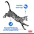 Royal Canin: Instinktiv bevorzugt, gesunde Verdauung und Harnwegsfunktion. Katze springt mit hervorgehobenen Produktvorteilen.