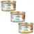 lot mixte : 3 saveurs (36 x 85 g)