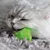 Grey cat biting green toy on a fluffy carpet.