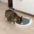 Kat eet uit een witte, ronde voerautomaat met digitale display op houten vloer.
