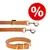 Hundeleine und Halsband aus braunem Leder mit Metallverschlüssen. Rotes Prozent-Symbol für Rabattaktion. Hundeleine und Halsband aus braunem Leder mit Metallverschlüssen. Rotes Prozent-Symbol für Rabattaktion.