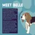 Text describing Belle the Beagle puppy, her playful nature, toilet training progress, and enjoyment of Sensitive puppy meals for proper nutrition.