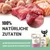 100% natürliche Zutaten. Keine Konservierungsstoffe oder zugesetzte Farbstoffe. Schesir Katzenfutter mit Huhn und Schinken, mehrere Packungen abgebildet.