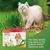 Image shows Beaphar Veto Pure spot-on for cats with margosa extract, repels fleas. Text: For best results, use early in the season before fleas are seen.