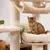 Cat tree with sisal posts, hammock and padded lying surface. Bengal cat sitting on the lying surface.