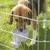 Hund trinkt aus einem an einem Metallgehege befestigten Wassernapf.