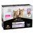 Purina Pro Plan Junior Cat 10 x 75 g