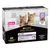 Purina Pro Plan Kitten natvoer, Healthy Start, kalkoen terrine, 10x85g. ISFM-logo zichtbaar. Zonder toegevoegde kleurstoffen. Afbeelding van twee kittens op de verpakking.