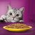 Gemengd Pakket Whiskas 1+ Adult Maaltijdzakjes 12 x 85 g Kattenvoer