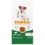 IAMS Advanced Nutrition Adult Small & Medium Dog met lam - Dubbelpak: 2 x 12 kg