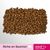 Perfect Fit Adult 1+ Riche en saumon
