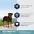 Protein for strong muscles, beta carotene for natural defence, L-carnitine and taurine for a healthy heart. For Rottweiler 1 year and older. Also suitable for Bordeauxdogge, Cane Corso, Rhodesian Ridgeback.