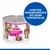 Hill's Science Plan Mature Small og Mini Mousse