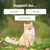 Zesty Paws Cat Digestion paszta Zesty Paws Cat Digestion paszta