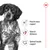 Image listing product benefits: muscle mass support, natural defences, and optimal health support, shown with icons beside a dog.