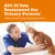 Zesty Paws Cat Urinary Care paszta Zesty Paws Cat Urinary Care paszta