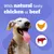 Pedigree Dentastix Daily Dental Sticks for Small Dogs (5 - 10 kg) - 35 Sticks (Chicken & Beef) Pedigree Dentastix Daily Dental Sticks for Small Dogs (5 - 10 kg) - 35 Sticks (Chicken & Beef)