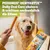 PEDIGREE® DENTASTIX™ Daily Oral Care säubern und schützen nachweislich die Zähne. Verpackung und Hund mit Dentastix im Hintergrund sichtbar.
