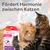 Beaphar CatComfort успокаивающий спот-он для кошек, способствует гармонии при стрессовых ситуациях. Упаковка с деталями продукта и инструкцией.