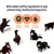 LifePlus ingredients support immunity, aid heart health and promote urinary health. Image shows icons for each benefit and several black and white cats.