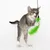 Chaton tigré jouant avec une canne à pêche pour chat, plumeau vert fluo suspendu à une ficelle noire, fond blanc uni.