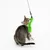 Chaton tigré jouant avec une canne à pêche pour chat, plumeau vert fluo suspendu à une tige noire, fond blanc uni.