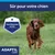 Sûr pour votre chien, Scientifiquement prouvé, ADAPTIL Calm. Texte en français belge visible sur l’image.