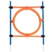 Fun & Sport Dog Agility Jumping Hoop - Diameter 55cm