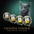 Sheba Select Slices in Gravy cat food, 85g trays: with turkey, with poultry, with chicken, with chicken and turkey. Text: Excellent flavour that cats just can’t resist.