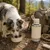 Nomad Tales Spirit 3-in-1 Reiseflasche aus Edelstahl - 800 ml + 2 x 200 ml Reisenapf Nomad Tales Spirit 3-in-1 Reiseflasche aus Edelstahl - 800 ml + 2 x 200 ml Reisenapf